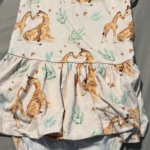 Bamboo - Picture 7 of 8